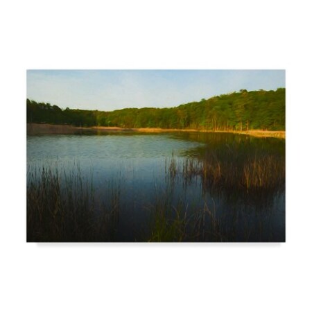Trademark Fine Art Anthony Paladino 'Bulrush In Pond At Evening' Canvas Art, 30x47 ALI24717-C3047GG